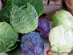 Hardy winter cabbage and other vegetables are local food you can eat all winter.