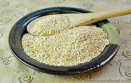 Quinoa seeds. Bringing back ancient grains and seeds.