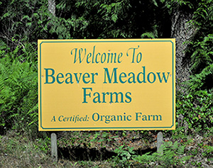 Sign saying, "Welcome to Beaver Meadow Farms: A Certified Organic Farm." How We Can Regrow Sustainable Agriculture and Food Security in BC. 