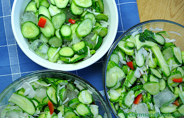 Sliced pickling cucumbers, peppers and onions with salt and ice in bowls. Bread and Butter pickles.