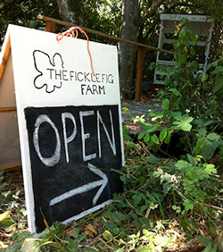 A sign board at The Fickle Fig Farm. Starting a Farm in One Year.