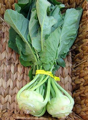 Kohlrabi, a cabbage family vegetable, is a crisp and nutritious addition to salads, soups and stews.