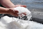 Hand-harvested Canadian sea salt pours from the harvester's hands.