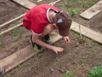 School Gardens: Preparing Kids for Climate Change